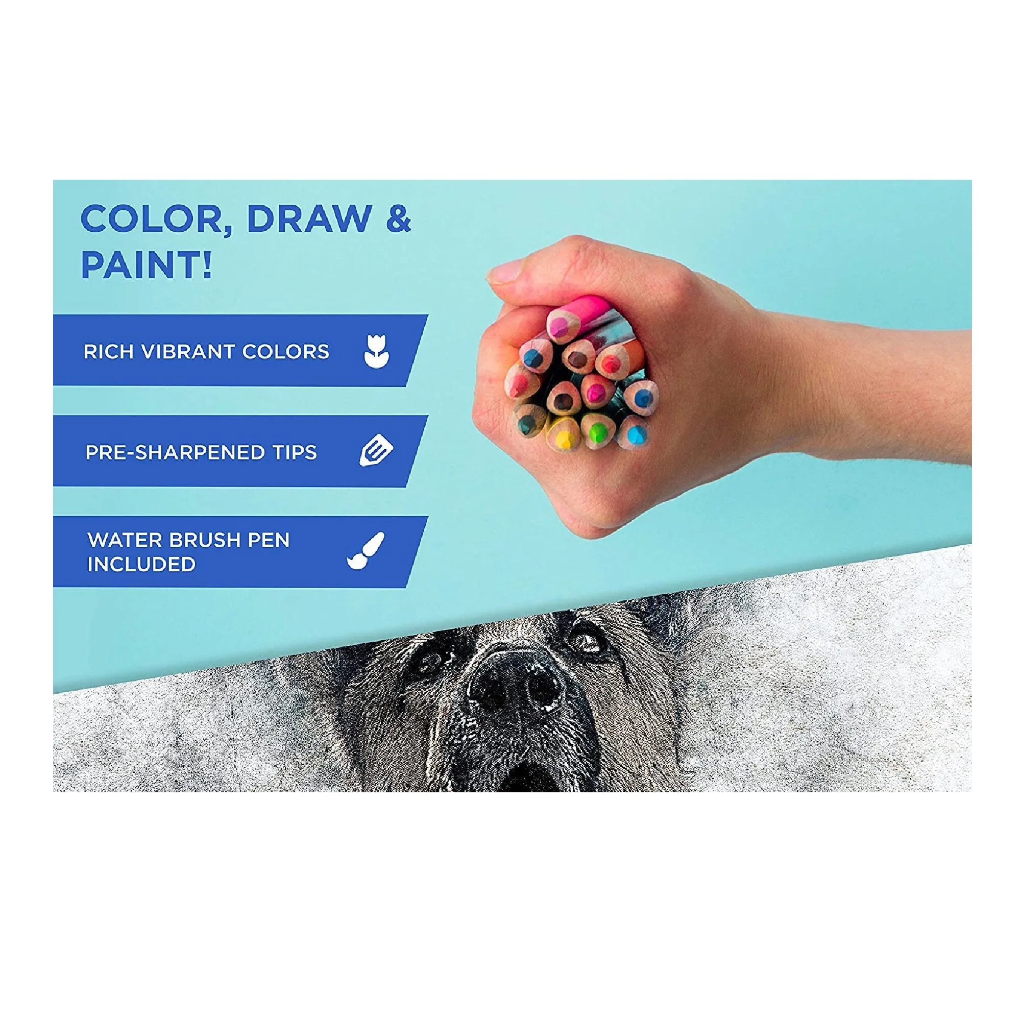 Bellofy Sketching Drawing Kit Set 72 Pieces And 100 Sheets Sketchbook | Art Supplies for Teen Adults | Art Pencils Coloring Set