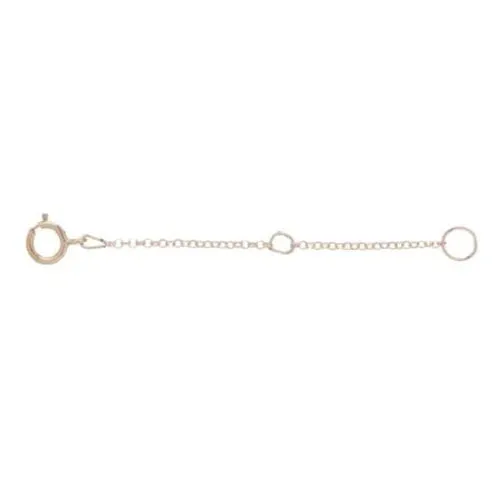 Enewton  2" Gold Necklace Extender