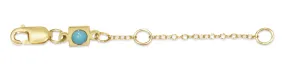 Enewton 2" Gold Necklace Extender