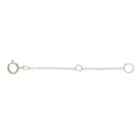 Enewton  2" Gold Necklace Extender