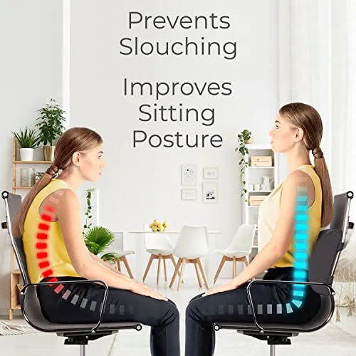 Everlasting Comfort Lumbar Support Pillow for Office Chair Back - Improve Posture While Sitting - Memory Foam Cushion Design for Computer Desk, Car, Gaming, Couch, Recliner