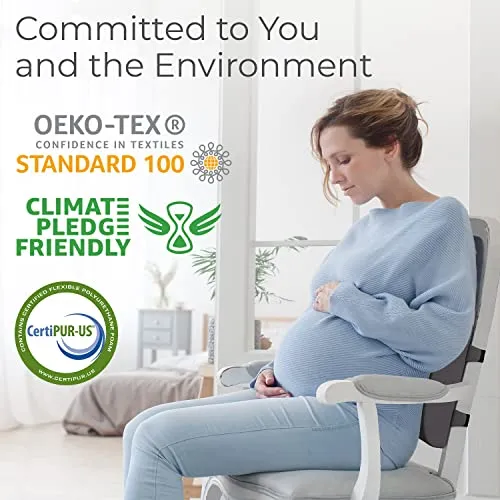 Everlasting Comfort Lumbar Support Pillow for Office Chair Back - Improve Posture While Sitting - Memory Foam Cushion Design for Computer Desk, Car, Gaming, Couch, Recliner