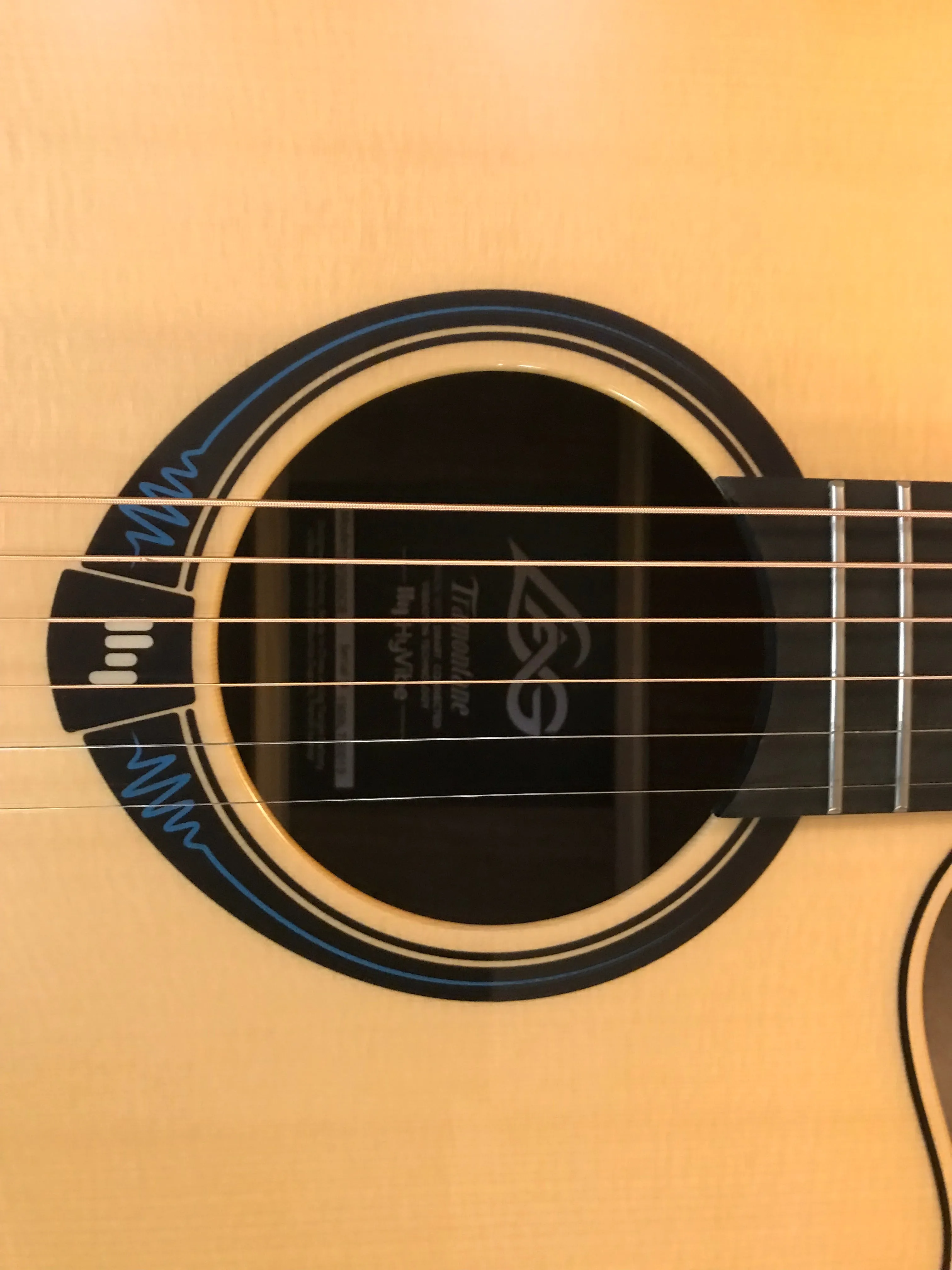 Lâg HyVibe THV20DCE Tramontane Acoustic-Electric Guitar with Lag HyVibe Gig Bag